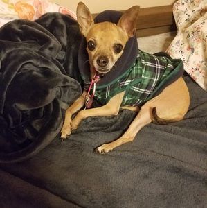 Meet your Posher, Karin